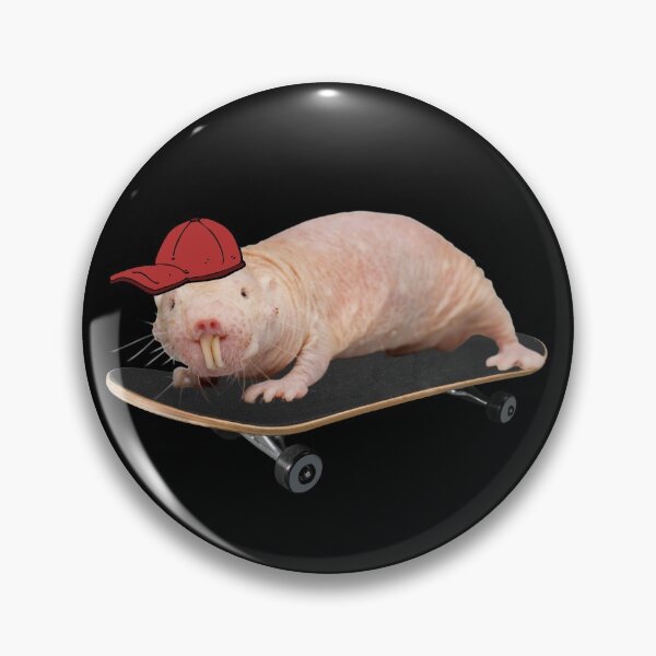 Item preview, Wanna go skateboards? - Skater naked mole rat designed and sold by Redga.