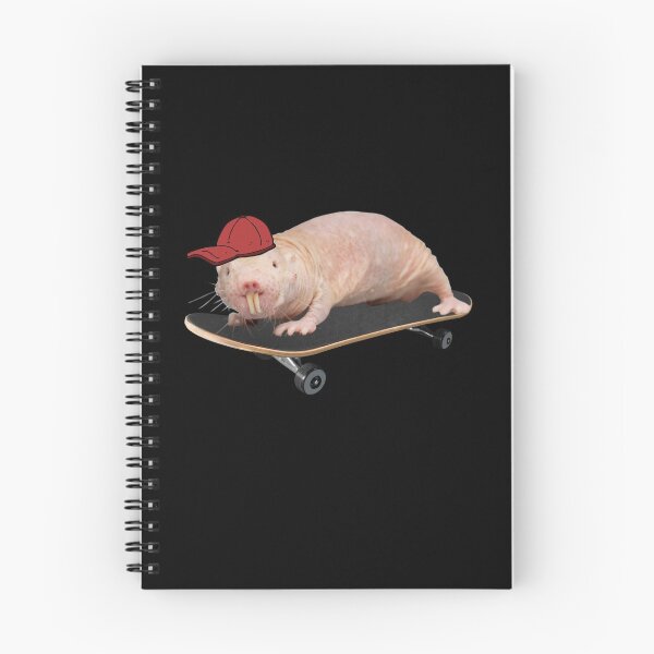 Aperçu de l'œuvre Tu veux faire du skateboard? - Rat taupe nu patineur créée et vendue par Redga.