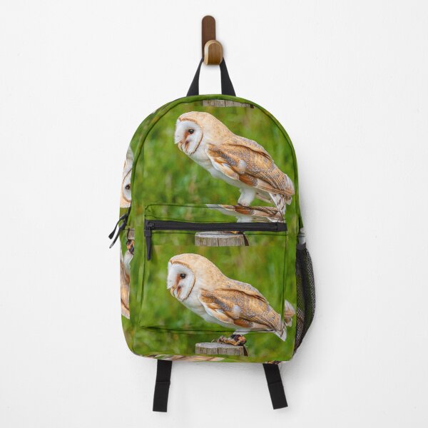 Item preview, Barn Owl in Jesses designed and sold by Dalyndigital Photography.