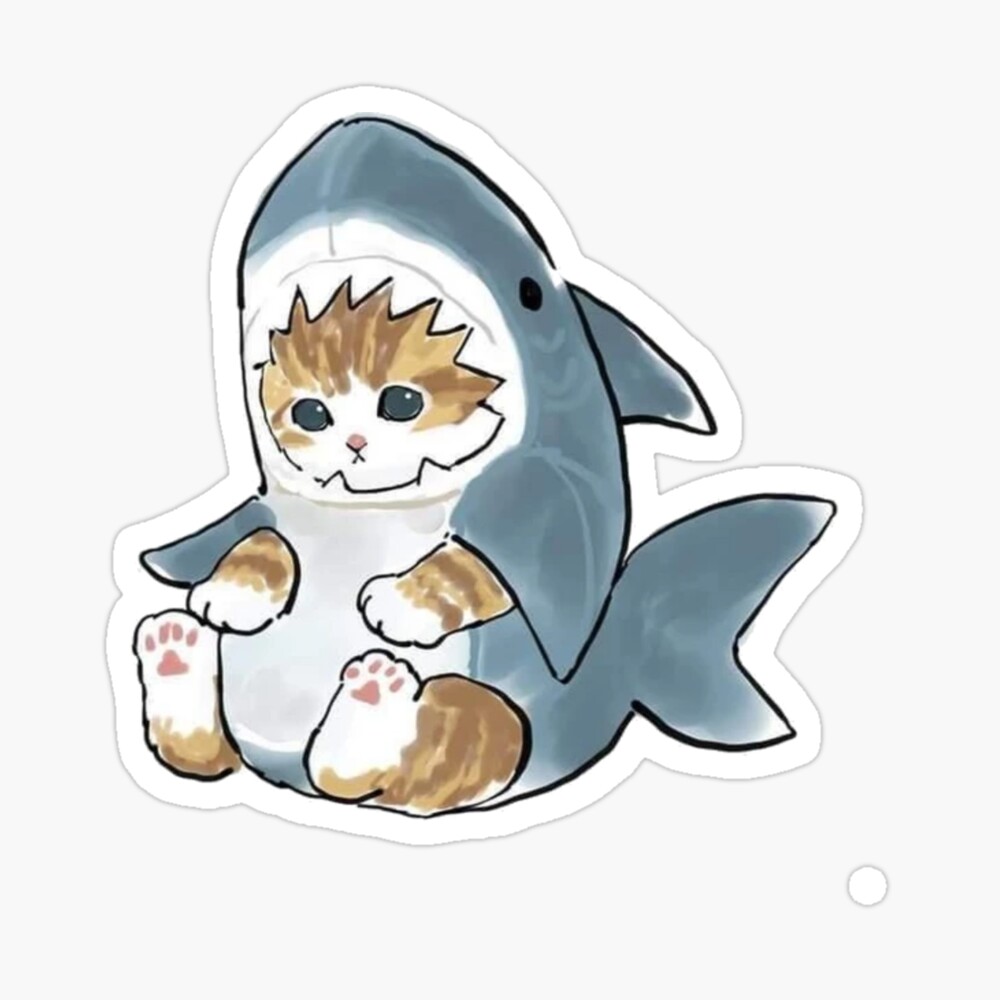 Cute baby shark cat