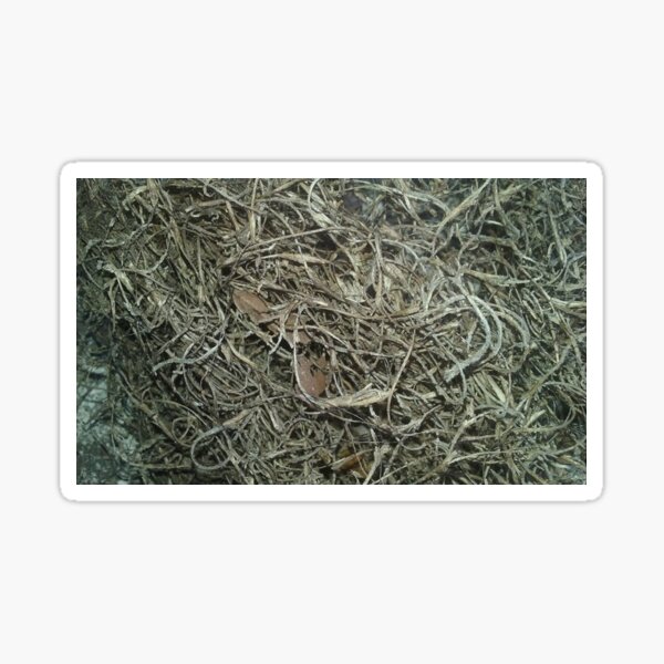 Item preview, Spanish Moss designed and sold by JenniferLLawson.