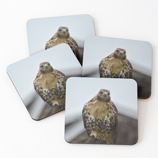 Item preview, RedTail Hawk designed and sold by Drgnfly4free.