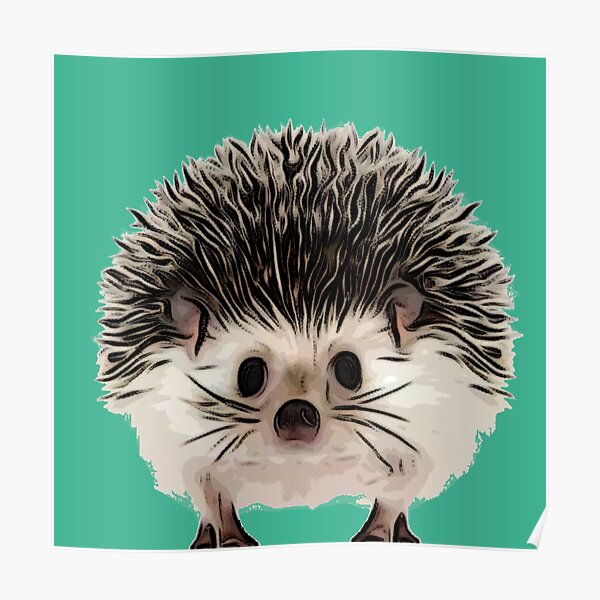 Animal Crossing Hedgehog Posters for Sale | Redbubble