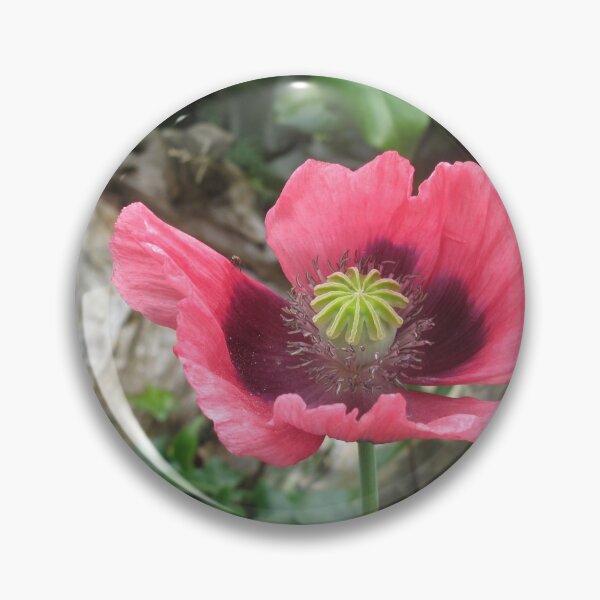 Item preview, Poppy designed and sold by FlowerCloud.