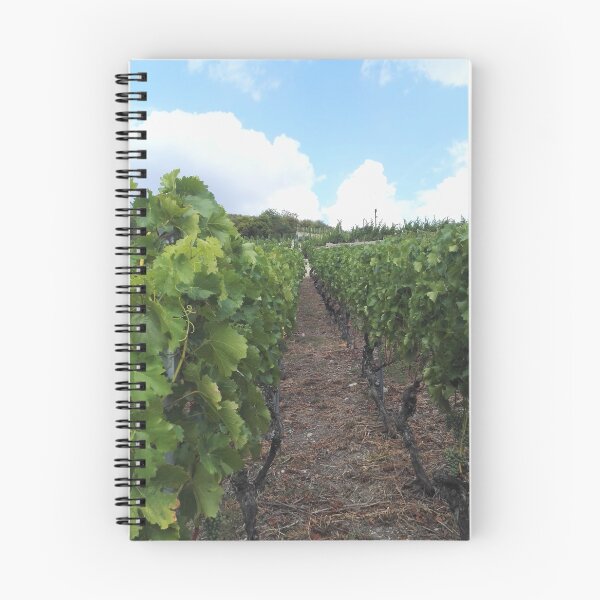 Item preview, Vineyard in Northeast Germany designed and sold by wineandwords.