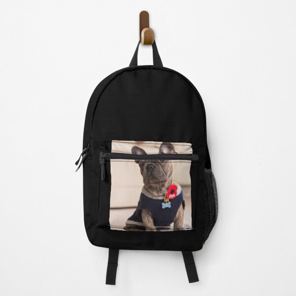 Item preview, French Bulldog puppy, 12 weeks old designed and sold by James-Walker.