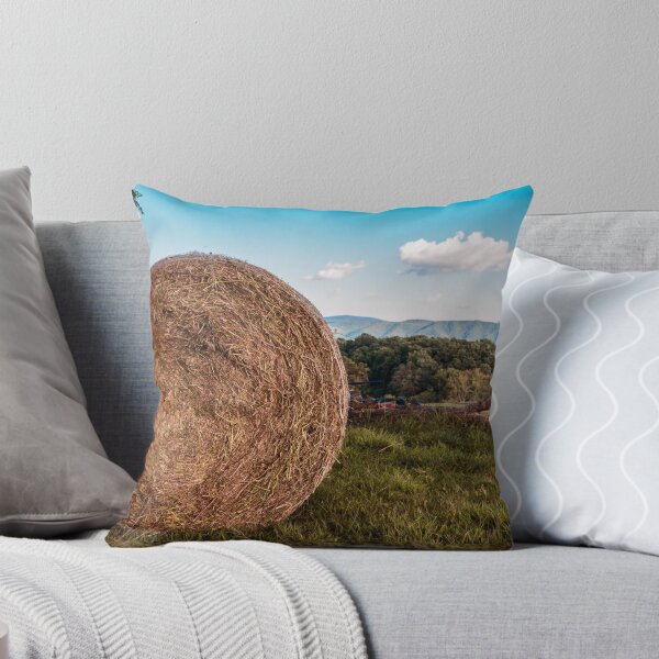 Item preview, Bale With A View designed and sold by Jim Love.