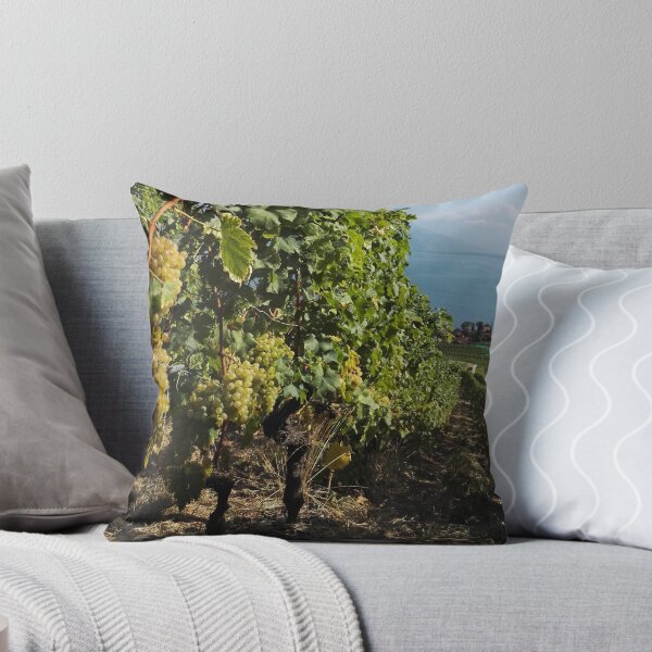 Item preview, Chasselas in Grand Cru vineyards - Vaud, Switzerland. designed and sold by wineandwords.