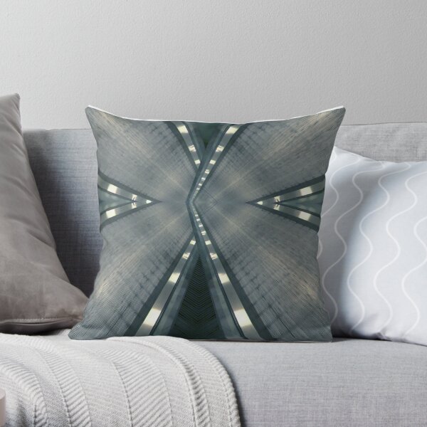 Concentric Throw Pillow