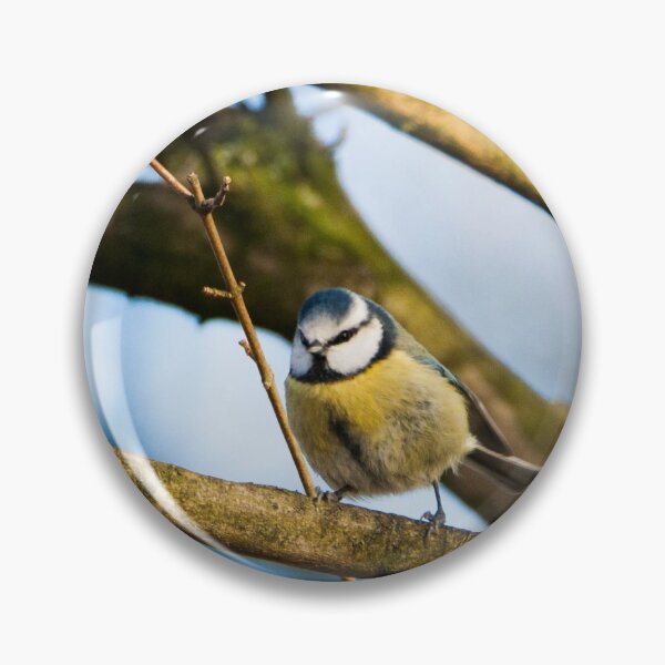 Item preview, Blue Tit designed and sold by Kerrie-Ann Ellison.