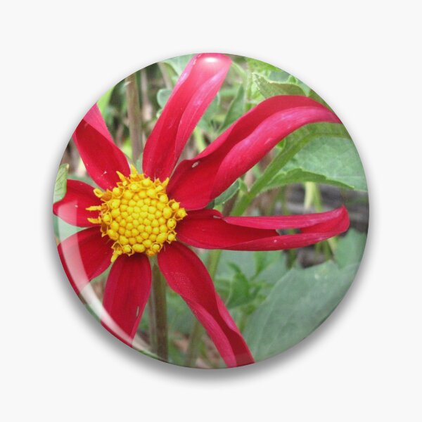 Item preview, Dalia roja designed and sold by FlowerCloud.