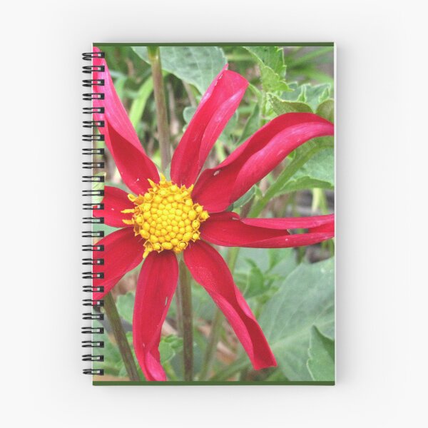 Artikelvorschau, Rote Dahlie entworfen und verkauft von FlowerCloud.