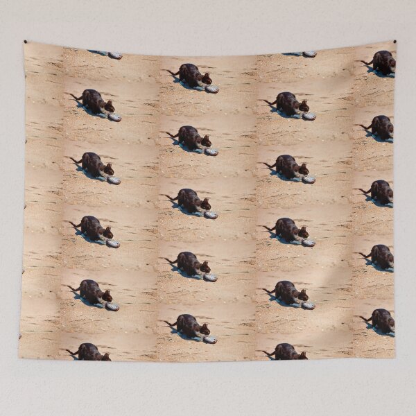 Item preview, ¡Pez, pez, mi pez! designed and sold by Dalyndigital Photography.
