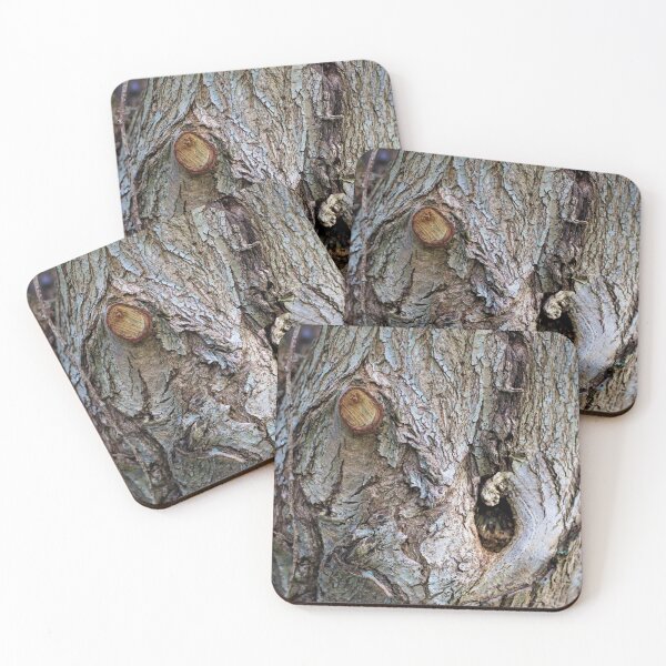 Item preview, Tree knot in urban nature reserve, Ghent designed and sold by wineandwords.