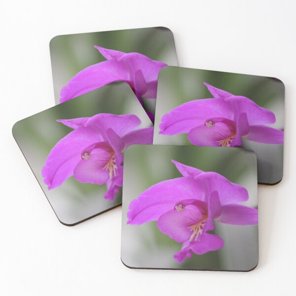 Item preview, Garden Flight designed and sold by Aires Photography.
