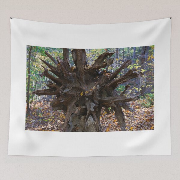 Item preview, Toppled Tree Roots designed and sold by Clarkartusa.
