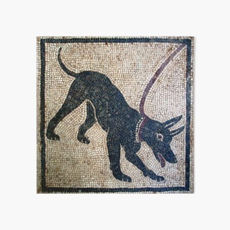 Cave canem- ancient Pompeii Art Board Print
