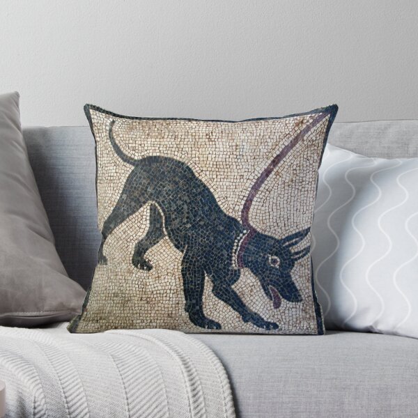Cave canem- ancient Pompeii Throw Pillow