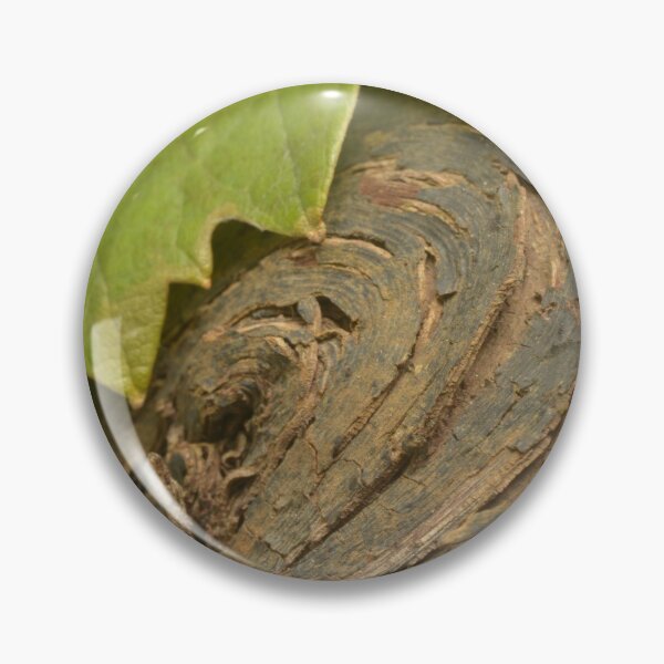 Item preview, Wine and vine photography: grapevine wood and leaf designed and sold by wineandwords.