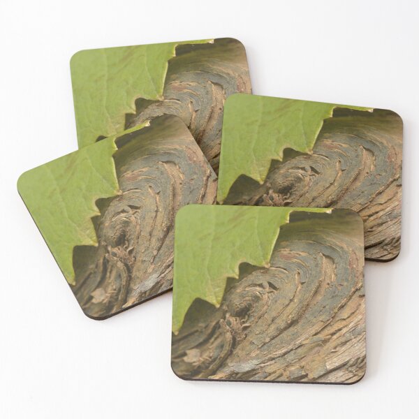 Item preview, Wine and vine photography: grapevine wood and leaf designed and sold by wineandwords.