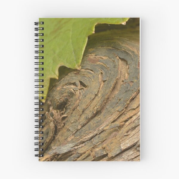 Item preview, Wine and vine photography: grapevine wood and leaf designed and sold by wineandwords.