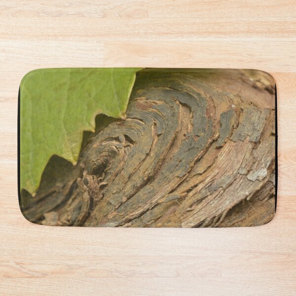Item preview, Wine and vine photography: grapevine wood and leaf designed and sold by wineandwords.