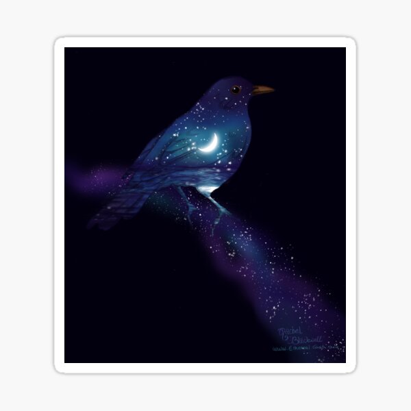 Shine like the whole universe is yours Sticker
