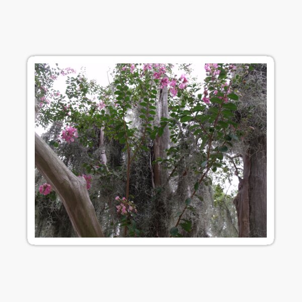 Item preview, Spanish Moss and Floral designed and sold by mackography.