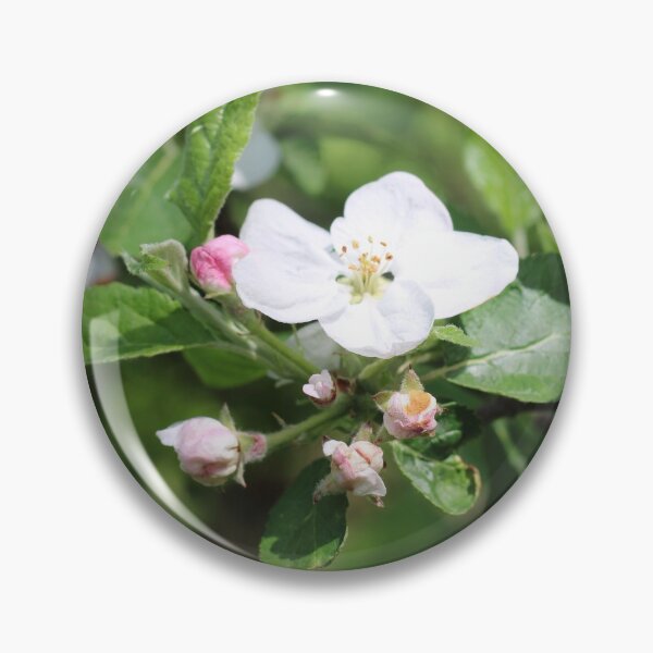 Item preview, Apple blossoms in the urban garden. designed and sold by wineandwords.