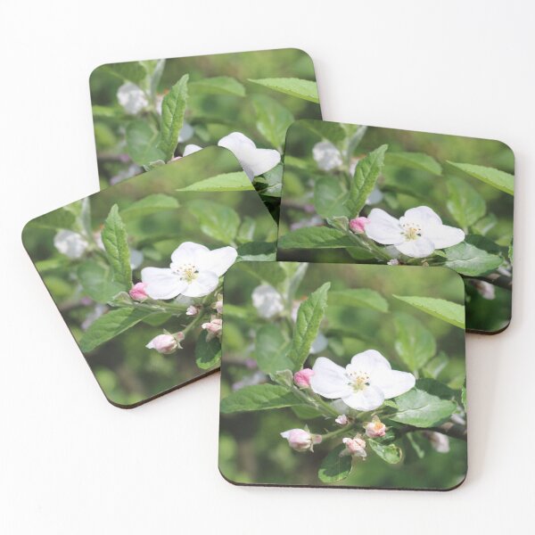 Item preview, Apple blossoms in the urban garden. designed and sold by wineandwords.