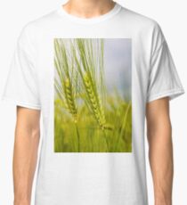 Wheat Classic T-Shirt