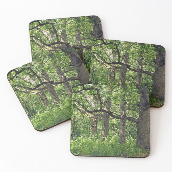 Item preview, Oaks On Parade designed and sold by MarjorieB.