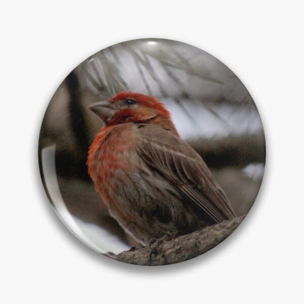 Item preview, Perched in the Pine designed and sold by MarjorieB.
