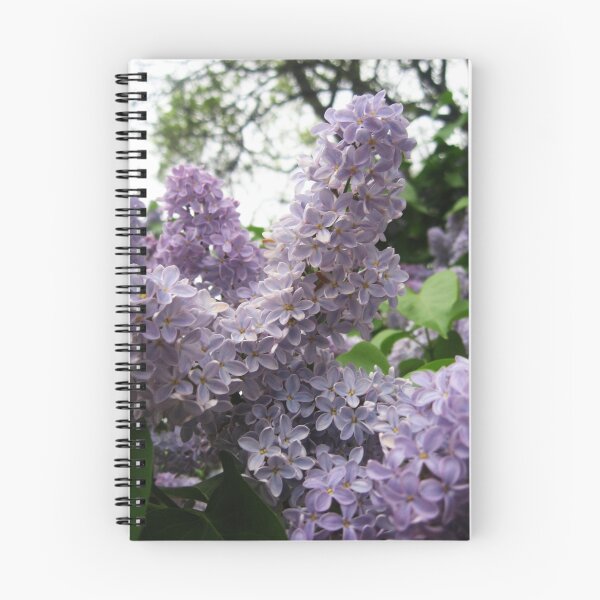 Aperçu de l'œuvre Pretty Purple - Lilacia Park créée et vendue par mackography.