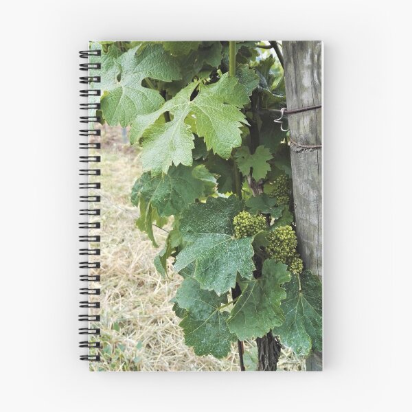 Item preview, Wine and vine photography: grape flowers designed and sold by wineandwords.