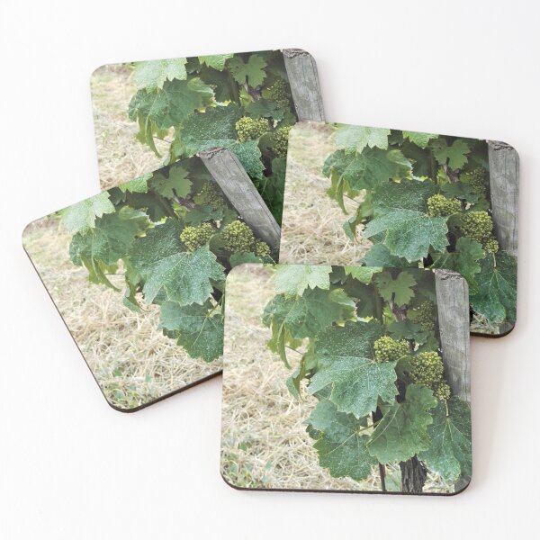 Item preview, Wine and vine photography: grape flowers designed and sold by wineandwords.