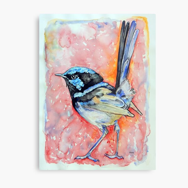 Superb Fairy Wren Metal Print