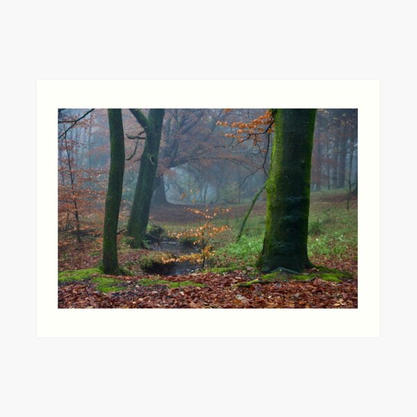 Moody Autumnal Woodland Art Print