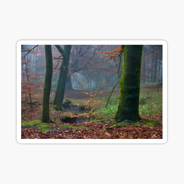 Moody Autumnal Woodland Sticker