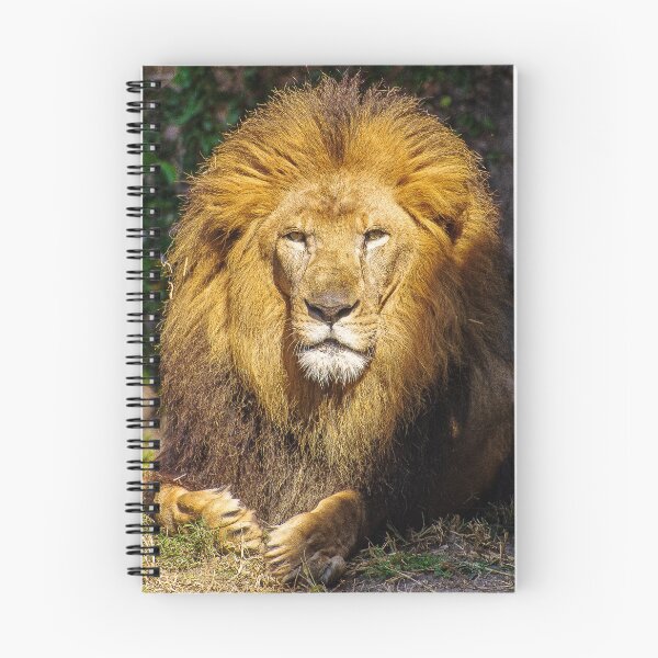 Item preview, Fierce  designed and sold by Shelley Wall.