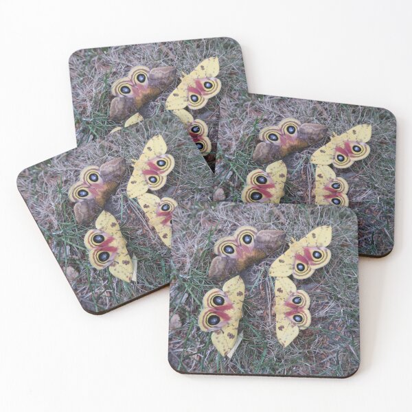 Item preview, Io Moth - Automeris io - Cute Moth designed and sold by Entomologist.