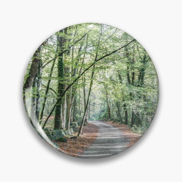 Item preview, Walking the Path (Fageda d’en Jordà, Catalonia) designed and sold by Marc Garrido Clotet.