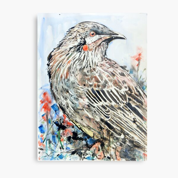 Red Wattlebird Metal Print