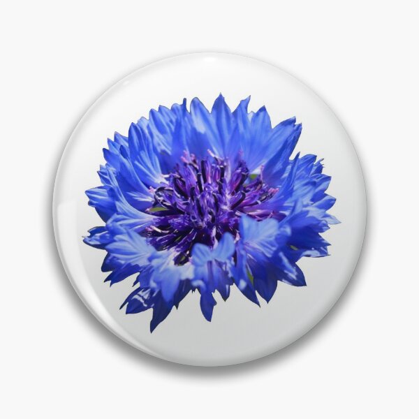 Item preview, Centaurea Cyanus (Cornflower) photo designed and sold by Lena Gripp.