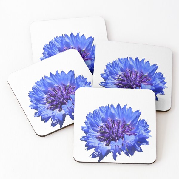 Item preview, Centaurea Cyanus (Cornflower) photo designed and sold by Lena Gripp.