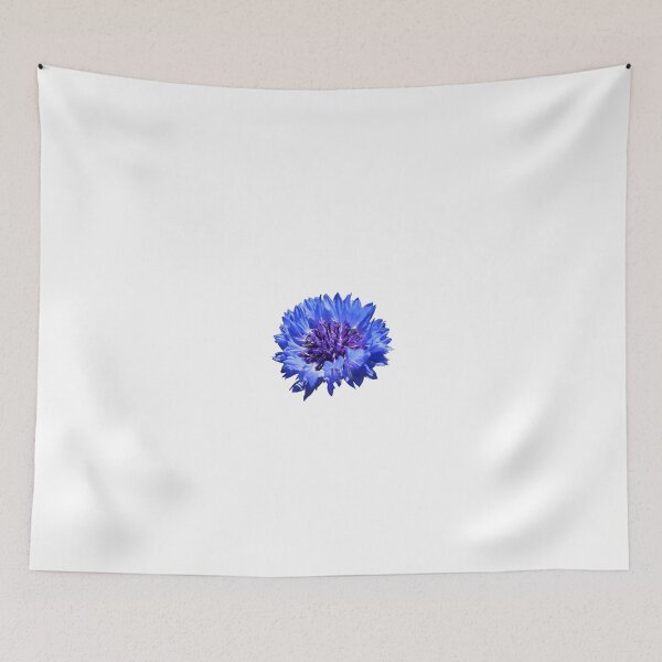 Item preview, Centaurea Cyanus (Cornflower) photo designed and sold by Lena Gripp.