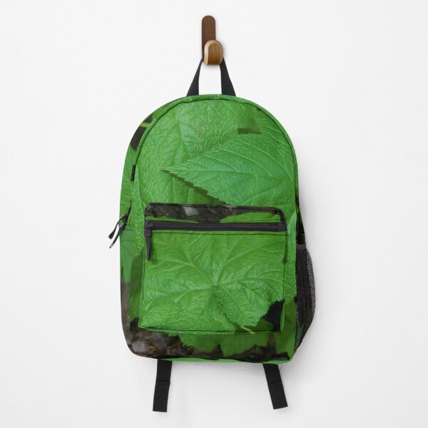 Item preview, Large green leaves with rocks, pebbles, and dark background designed and sold by Ventures1.