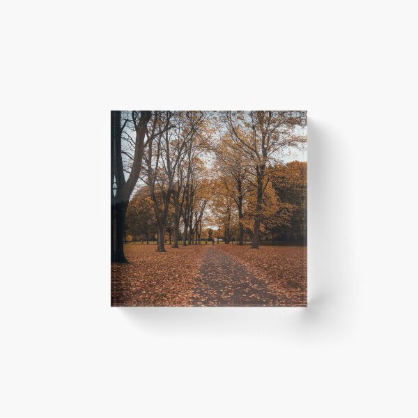 Item preview, Autumn Walkways designed and sold by RyanWarburton.