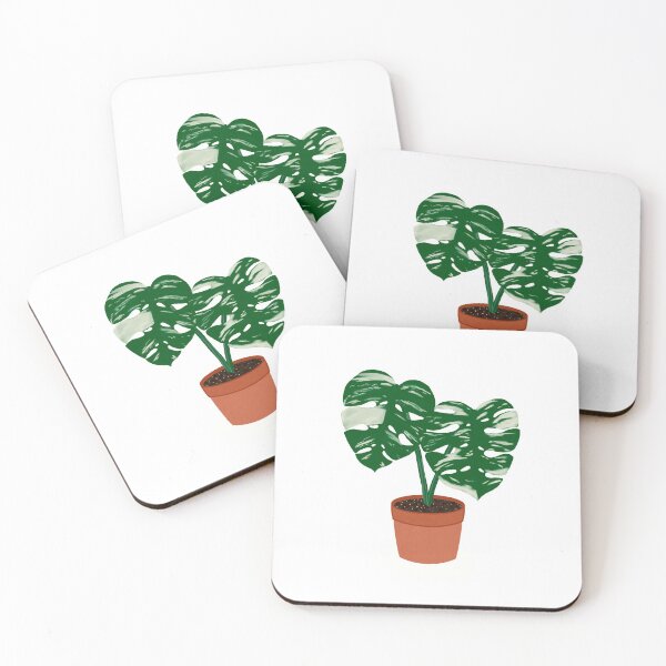 Item preview, Variegated Monstera Deliciosa cheese plant, rare aroid designed and sold by Lmarrsh.