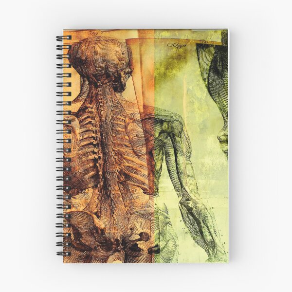 Item preview, Back Anatomy 2 designed and sold by kimopix.